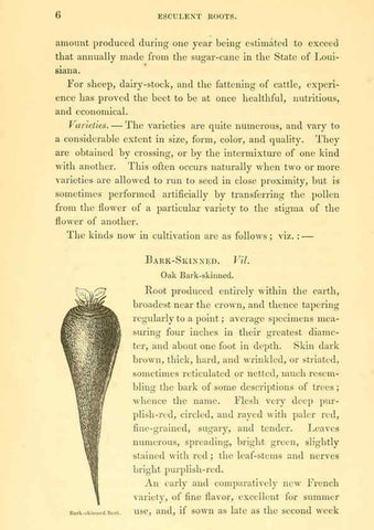 Reproducción/Reproduction 6002631470: The field and garden vegetables of America Boston,Crosby and Nichols,1863