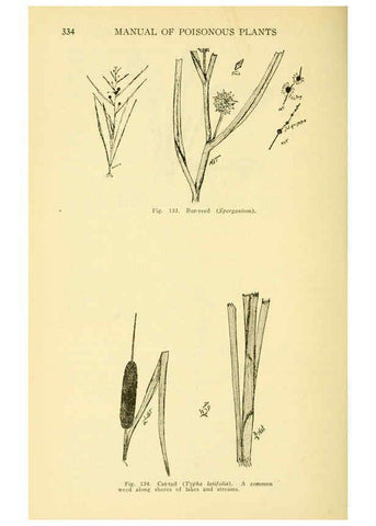 Reproducción/Reproduction 6005309592: A manual of poisonous plants Cedar Rapids, Ia. :The Torch Press,1910-11