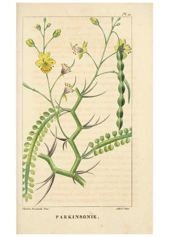 Reproducción/Reproduction 6005390518: Flore pittoresque et médicale des Antilles v.1 Paris Pichard,1821-1829