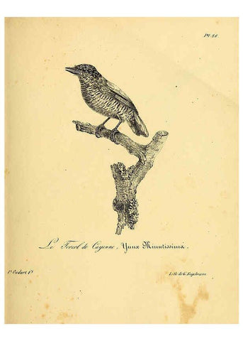 Reproducción/Reproduction 6001905993: La galerie des oiseaux Paris :Carpentier-Méricourt,1834