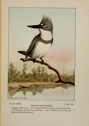 Reproducción/Reproduction 5977736337: Bird-life : a guide to the study of our common birds New York :Appleton,1900