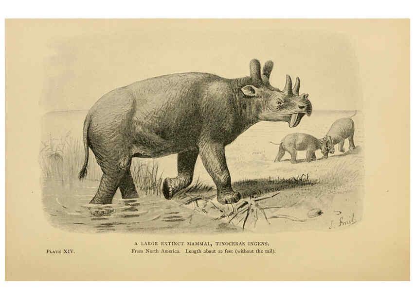 Reproducción/Reproduction 5977253367: Extinct monsters London :Chapman & Hall,1896