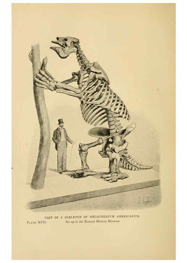 Reproducción/Reproduction 5977253845: Extinct monsters London :Chapman & Hall,1896