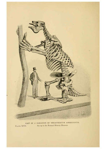 Reproducción/Reproduction 5977253845: Extinct monsters London :Chapman & Hall,1896