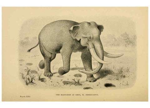 Reproducción/Reproduction 5977817476: Extinct monsters London :Chapman & Hall,1896