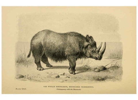 Reproducción/Reproduction 5977817666: Extinct monsters London :Chapman & Hall,1896