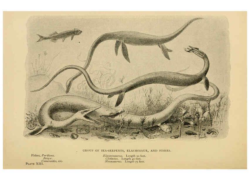 Reproducción/Reproduction 5977816186: Extinct monsters London :Chapman & Hall,1896