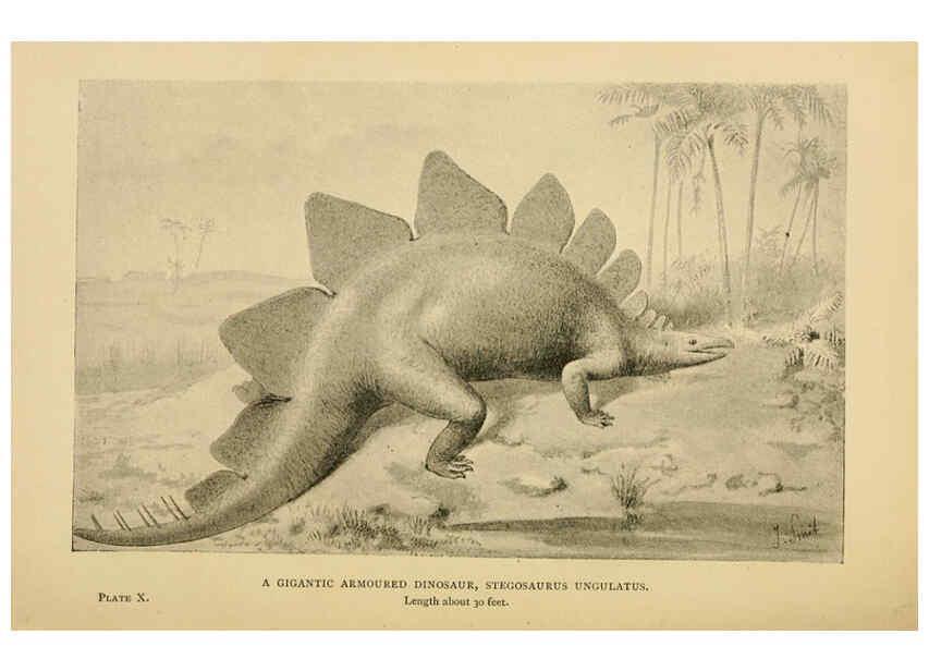 Reproducción/Reproduction 5977815770: Extinct monsters London :Chapman & Hall,1896