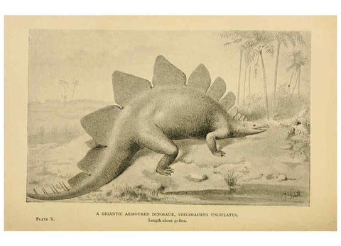 Reproducción/Reproduction 5977815770: Extinct monsters London :Chapman & Hall,1896