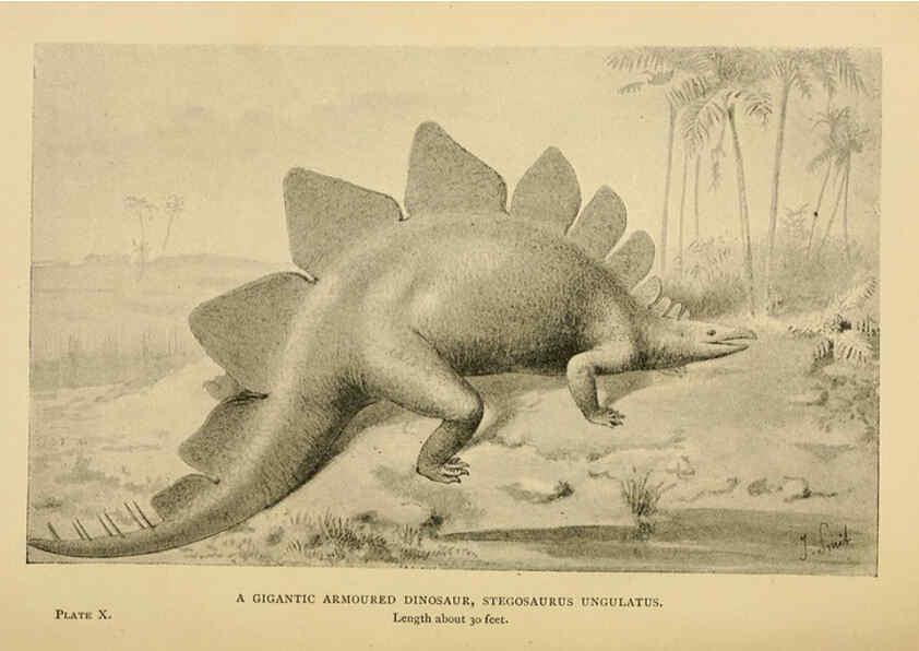 Reproducción/Reproduction 5977815770: Extinct monsters London :Chapman & Hall,1896