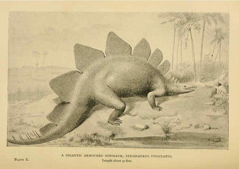 Reproducción/Reproduction 5977815770: Extinct monsters London :Chapman & Hall,1896