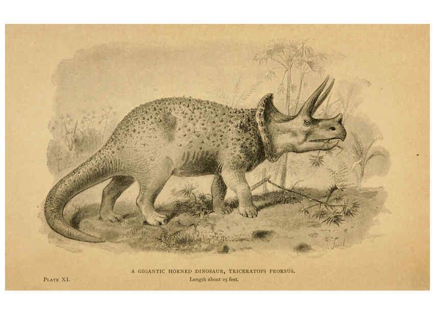 Reproducción/Reproduction 5977813958: Extinct monsters London :Chapman & Hall,1896