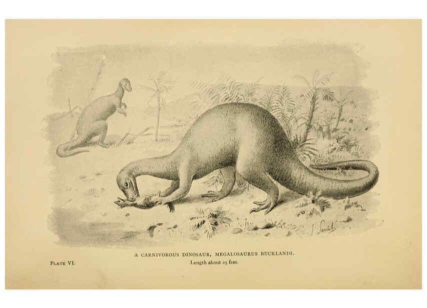 Reproducción/Reproduction 5977815066: Extinct monsters London :Chapman & Hall,1896