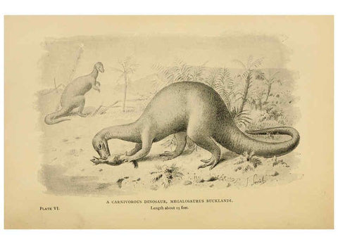 Reproducción/Reproduction 5977815066: Extinct monsters London :Chapman & Hall,1896