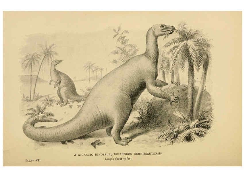 Reproducción/Reproduction 5977815248: Extinct monsters London :Chapman & Hall,1896