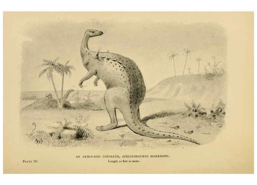 Reproducción/Reproduction 5977815622: Extinct monsters London :Chapman & Hall,1896