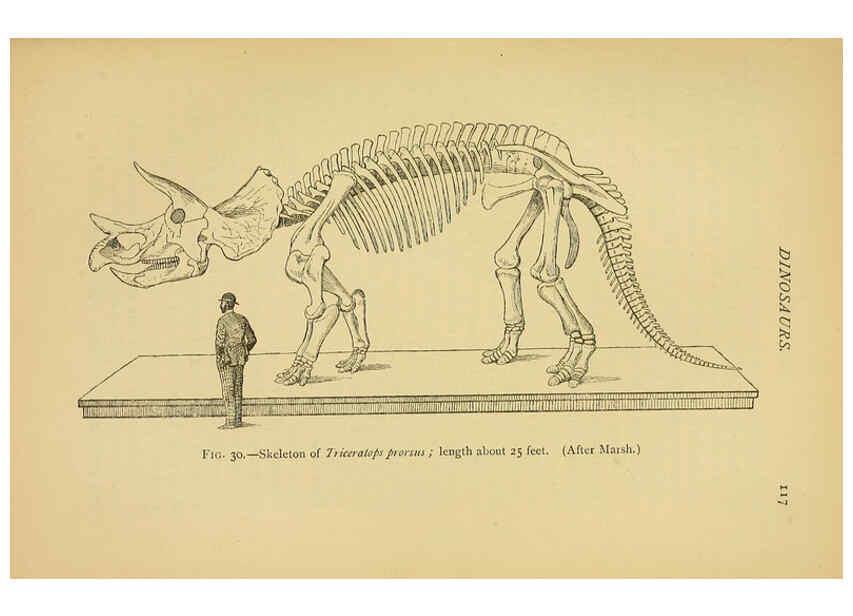 Reproducción/Reproduction 5977815904: Extinct monsters London :Chapman & Hall,1896
