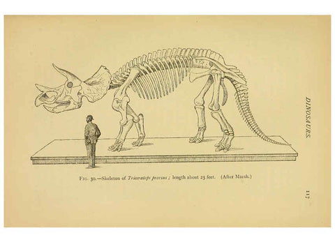 Reproducción/Reproduction 5977815904: Extinct monsters London :Chapman & Hall,1896
