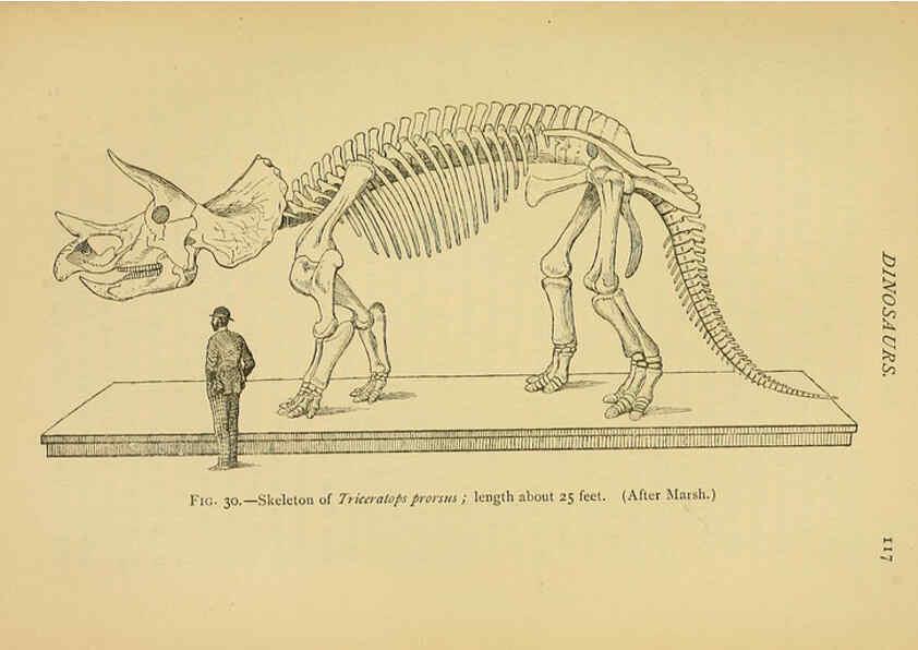 Reproducción/Reproduction 5977815904: Extinct monsters London :Chapman & Hall,1896