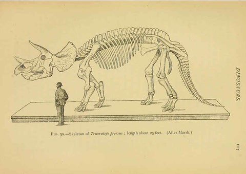 Reproducción/Reproduction 5977815904: Extinct monsters London :Chapman & Hall,1896