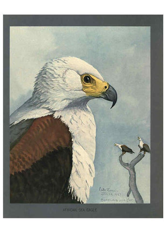 Reproducción/Reproduction 5978221436: Album of Abyssinian birds and mammals Chicago :Field Museum of Natural History,1930