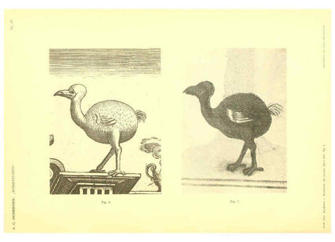 Reproducción/Reproduction 5974724145: Dodo-studiën Amsterdam,J. Müller,1917