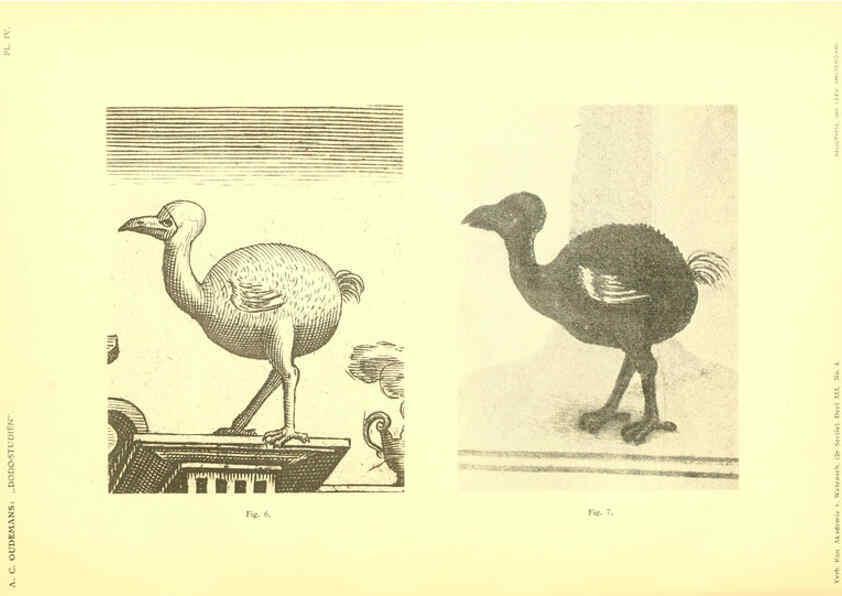 Reproducción/Reproduction 5974724145: Dodo-studiën Amsterdam,J. Müller,1917