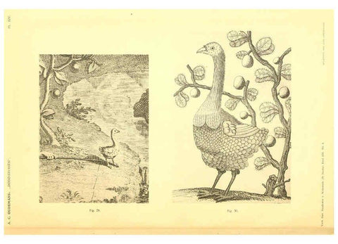 Reproducción/Reproduction 5975288916: Dodo-studiën Amsterdam,J. Müller,1917