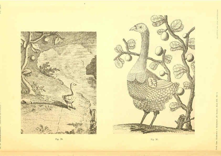 Reproducción/Reproduction 5975288916: Dodo-studiën Amsterdam,J. Müller,1917