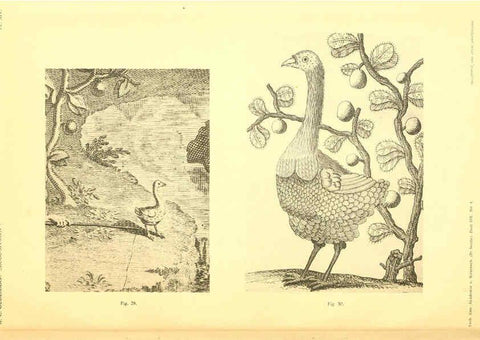 Reproducción/Reproduction 5975288916: Dodo-studiën Amsterdam,J. Müller,1917