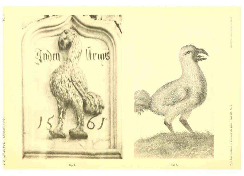 Reproducción/Reproduction 5974723401: Dodo-studiën Amsterdam,J. Müller,1917