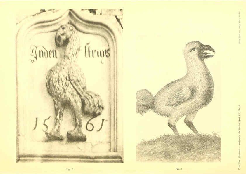 Reproducción/Reproduction 5974723401: Dodo-studiën Amsterdam,J. Müller,1917