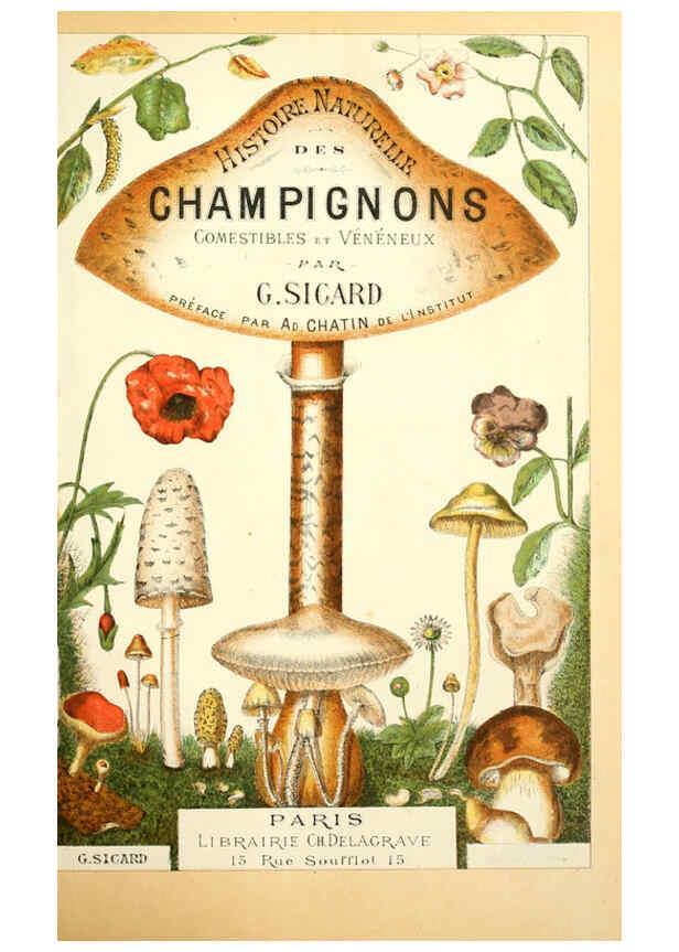 Reproducción/Reproduction 5974659441: Histoire naturelle des champignons comestibles et vénéneux Paris :C. Delagrave,1883