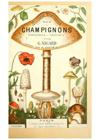 Reproducción/Reproduction 5974659441: Histoire naturelle des champignons comestibles et vénéneux Paris :C. Delagrave,1883