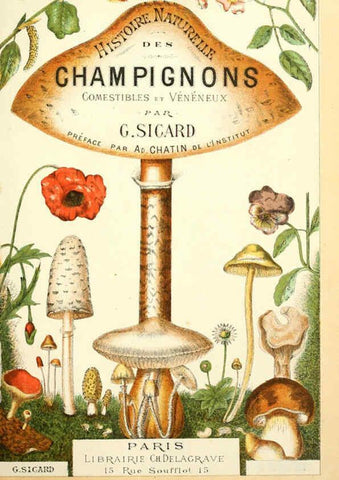 Reproducción/Reproduction 5974659441: Histoire naturelle des champignons comestibles et vénéneux Paris :C. Delagrave,1883