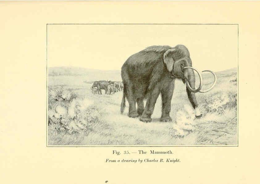 Reproducción/Reproduction 5984593671: Animals of the past New York,McClure, Phillips & Co.,1901