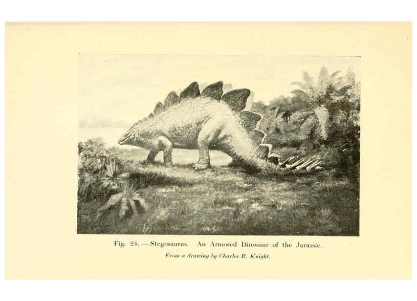 Reproducción/Reproduction 5985155764: Animals of the past New York,McClure, Phillips & Co.,1901