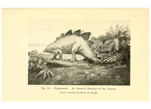 Reproducción/Reproduction 5985155764: Animals of the past New York,McClure, Phillips & Co.,1901