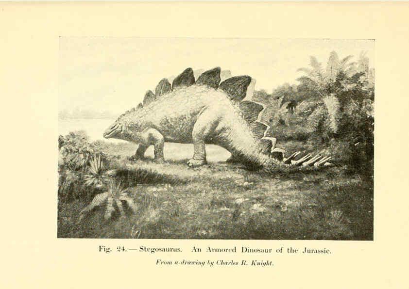 Reproducción/Reproduction 5985155764: Animals of the past New York,McClure, Phillips & Co.,1901