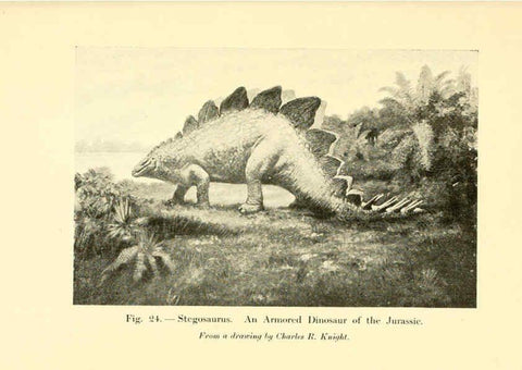 Reproducción/Reproduction 5985155764: Animals of the past New York,McClure, Phillips & Co.,1901