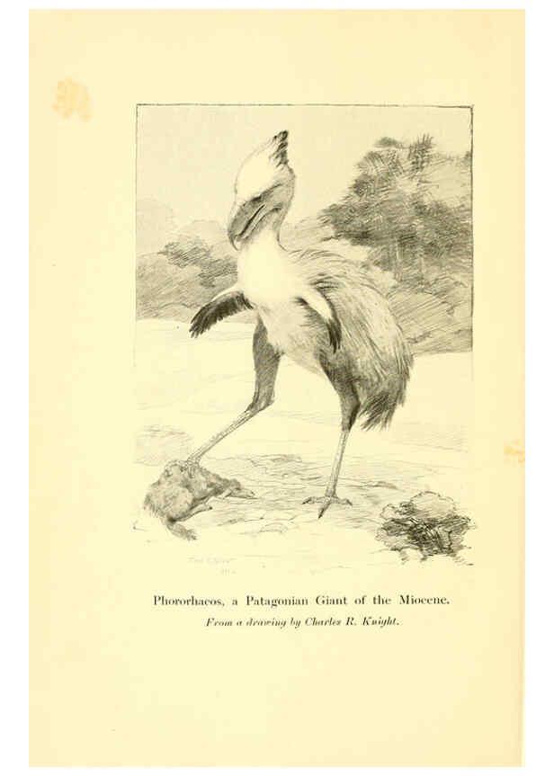 Reproducción/Reproduction 5984589703: Animals of the past New York,McClure, Phillips & Co.,1901