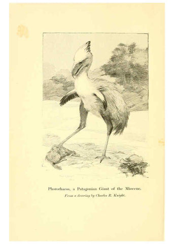 Reproducción/Reproduction 5984589703: Animals of the past New York,McClure, Phillips & Co.,1901