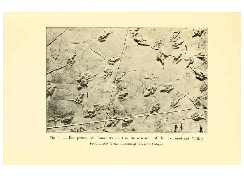 Reproducción/Reproduction 5985154024: Animals of the past New York,McClure, Phillips & Co.,1901