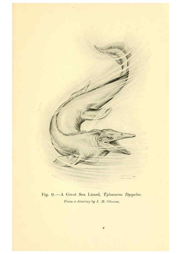 Reproducción/Reproduction 5985154320: Animals of the past New York,McClure, Phillips & Co.,1901