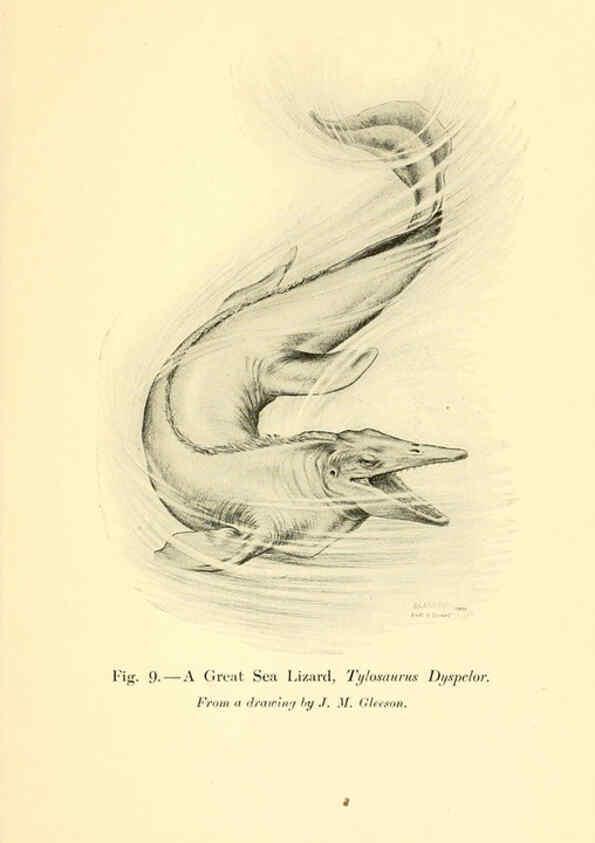 Reproducción/Reproduction 5985154320: Animals of the past New York,McClure, Phillips & Co.,1901