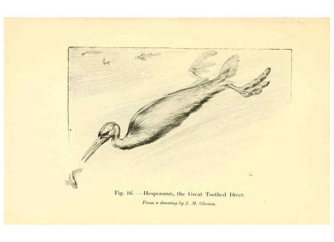 Reproducción/Reproduction 5985154818: Animals of the past New York,McClure, Phillips & Co.,1901