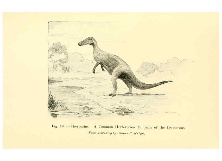 Reproducción/Reproduction 5984591667: Animals of the past New York,McClure, Phillips & Co.,1901