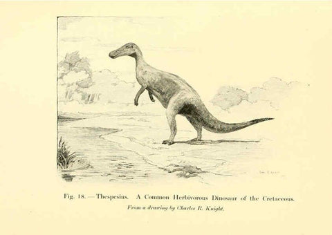 Reproducción/Reproduction 5984591667: Animals of the past New York,McClure, Phillips & Co.,1901