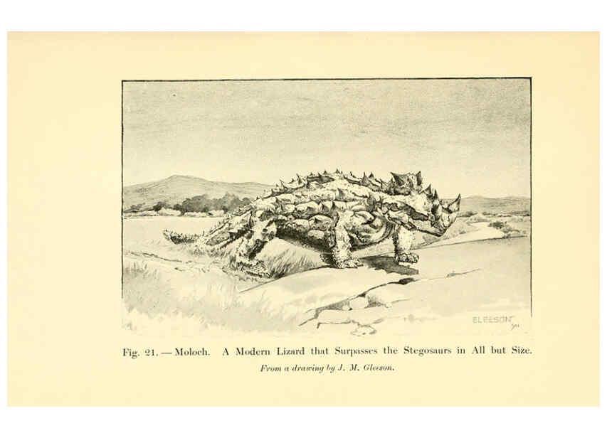 Reproducción/Reproduction 5985155314: Animals of the past New York,McClure, Phillips & Co.,1901