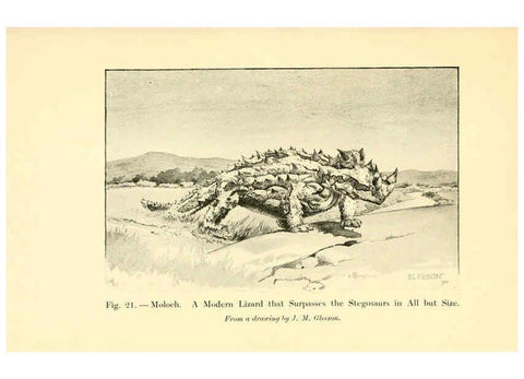 Reproducción/Reproduction 5985155314: Animals of the past New York,McClure, Phillips & Co.,1901